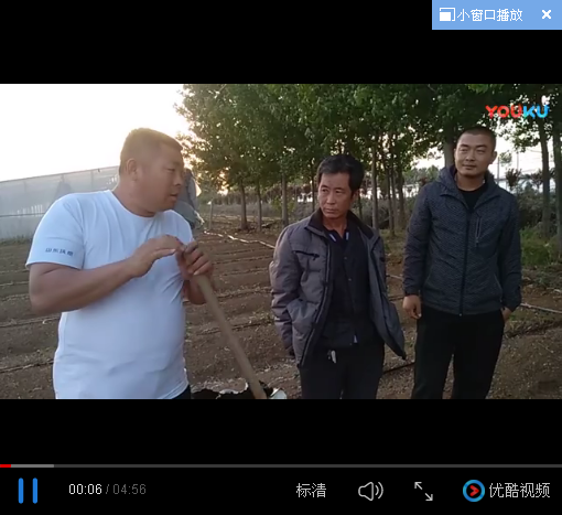 桓台农化服务——崔老师分享草莓如何进行营养土种植