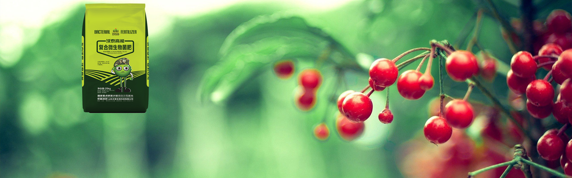 沃泰高能复合微生物菌肥